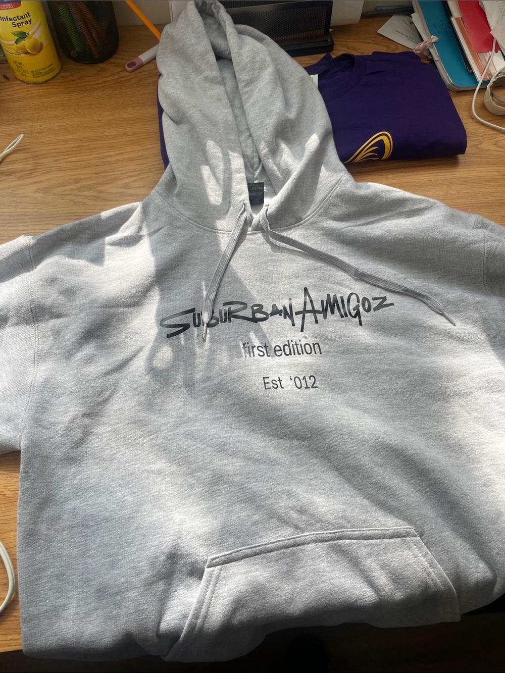 Suburbanamigoz First Edition Hoodie in Gray